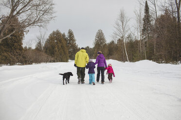 Mutter und Vater mit zwei Kindern und Hund, Spaziergang im Schnee, Rückansicht - CUF33923