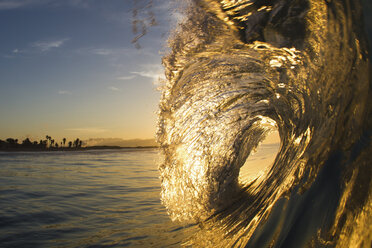 Barrelling-Welle, Hawaii, USA - ISF14215