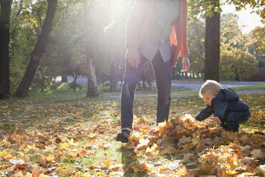 Vater und Sohn spielen mit Herbstblättern - CUF34165