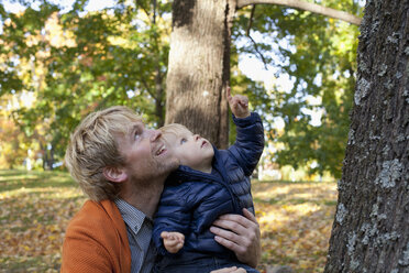Vater und Sohn spielen am Fuße des Baumes - CUF34166