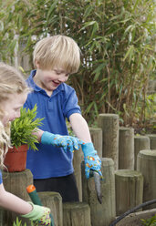 Schuljunge und Mädchen pflanzen im Garten - CUF34275