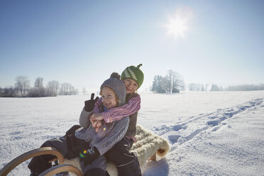 Portrait of two brothers on sled - ISF14325