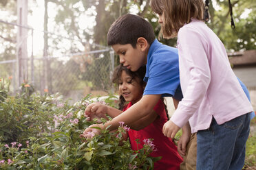 Children observing grasshopper in garden - ISF14419