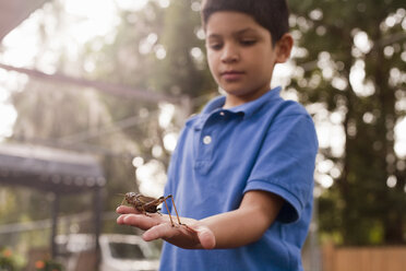 Boy observing grasshopper in garden - ISF14420