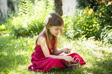 Portrait of little girl wearing red summer dress sitting on a meadow with basket of cherries - LVF07145