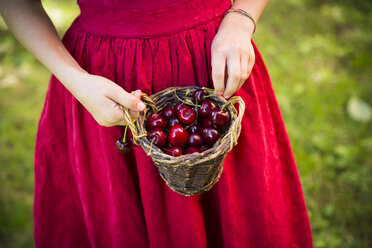 Little girl holding basket with cherries - LVF07146