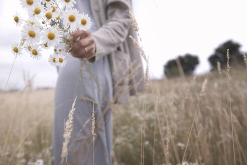 Frau auf einem Feld mit einem Strauß gepflückter Kamille, Teilansicht - KMKF00390