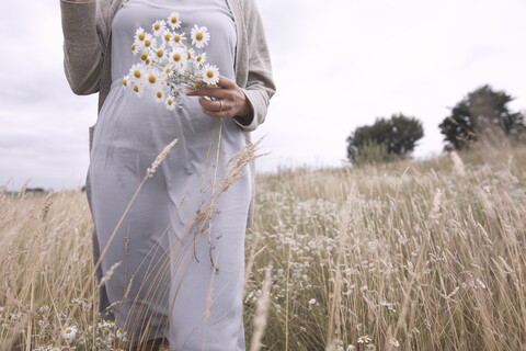 Frau auf einem Feld mit einem Strauß gepflückter Kamille, Teilansicht, lizenzfreies Stockfoto