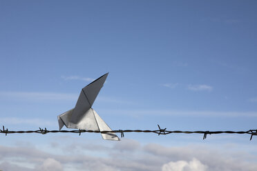 Origami bird sitting on barbed wire, copy space - PSTF00130