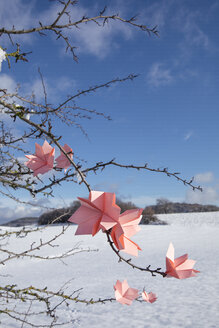 Origami-Blumen auf Zweigen im Winter - PSTF00132