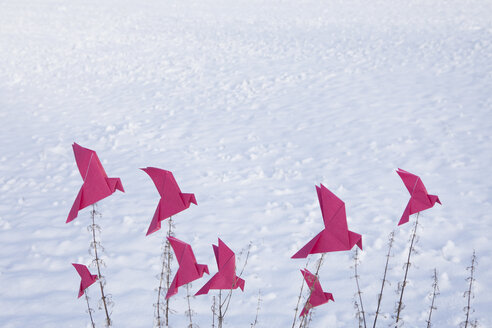 Origami birds sitting on grasses in winter - PSTF00133