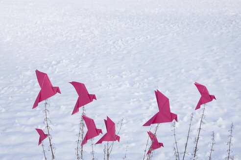 Origami-Vögel, die im Winter auf Gräsern sitzen - PSTF00133