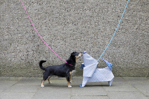 Blauer Origami-Hund und schnüffelnder Hund, lizenzfreies Stockfoto