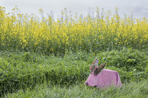 Origami-Kaninchen im Rapsfeld - PSTF00158