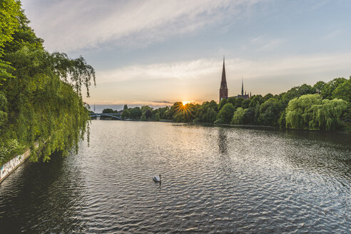 Deutschland, Hamburg, Kuhmuehlenteich, Höckerschwan und Blick auf die Kirche St. Gertrud - KEBF00831