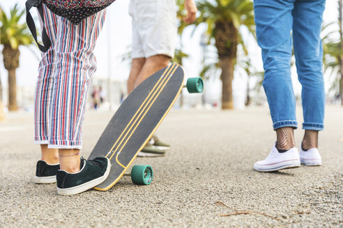 Nahaufnahme von Freunden mit einem Skateboard auf einer Promenade mit Palmen - WPEF00469