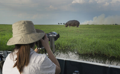 Frau fotografiert Nilpferd vom Safari-Truck aus, Kasane, Chobe-Nationalpark, Botsuana, Afrika - CUF34624