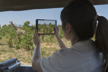 Frau fotografiert mit digitalem Tablet eine Giraffe aus einem Safaritruck, Kasane, Chobe-Nationalpark, Botsuana, Afrika - CUF34625