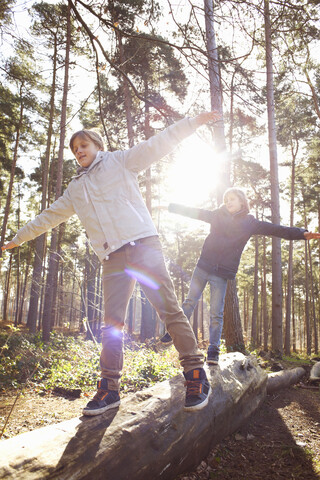 Zwillingsbrüder gehen entlang eines umgestürzten Baumstamms im Wald, lizenzfreies Stockfoto