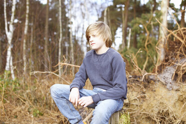 Junge sitzt auf einem Baumstumpf im Wald - CUF34646