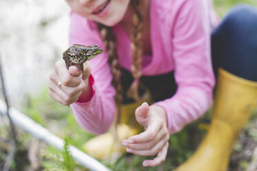 Cropped shot of girl holding up frog - CUF34770