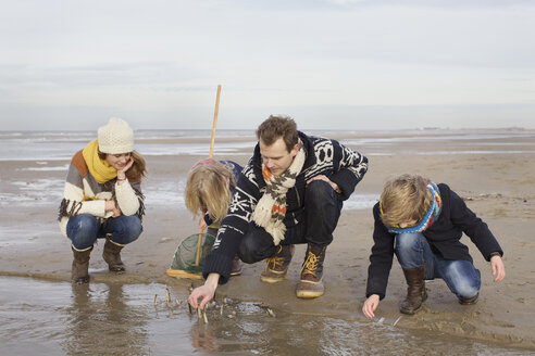 Erwachsene Eltern mit Sohn und Tochter beim Muschelsuchen am Strand, Bloemendaal aan Zee, Niederlande - CUF34804