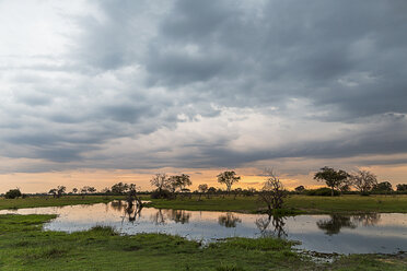 Silhouettierte Bäume und Sumpf, Okavango-Delta, Chobe-Nationalpark, Botswana, Afrika - CUF34898