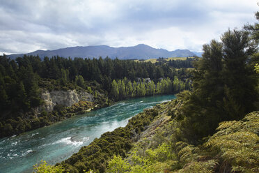 Landschaftlicher Blick auf Fluss, Wald und Berge, Neuseeland - CUF34953