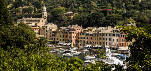 Portofino, Genova, Liguria, Italy - CUF35093