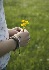 Junge Frau hält gelbe Blumen, Nahaufnahme - CUF35193