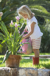 Girl watering garden plant - CUF35263