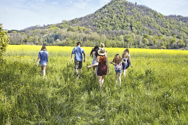 Group of friends walking in field - CUF35489