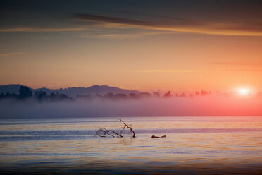 Morning mist on Lake Maggiore, Piemonte, Novara, Italy - CUF35543