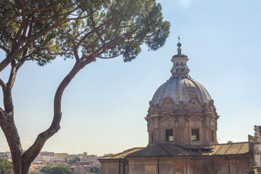 Kuppel der Kirche Santi Luca e Martina, Rom, Italien - CUF35610