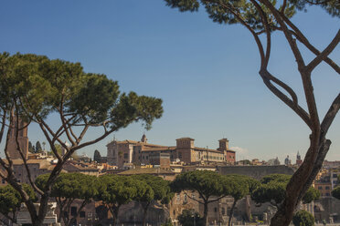 Forum Magnum, Rom, Italien - CUF35611