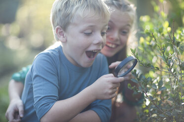 Brother and sister discovering plants with magnifying glass in garden - CUF35740