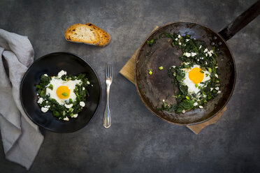 Green Shakshouka with baby spinat, chard, spring onions and basil - LVF07155