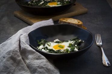 Bowl of green Shakshouka with baby spinat, chard, spring onions and basil - LVF07158