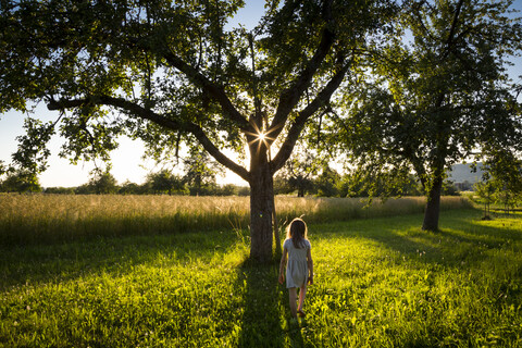 Junges Mädchen geht auf einer Wiese zu einem Baum am Sommerabend, lizenzfreies Stockfoto