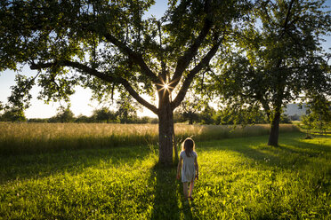 Junges Mädchen geht auf einer Wiese zu einem Baum am Sommerabend - LVF07165