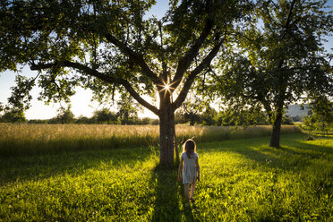 Young girl walking on meadow to tree at summer evening - LVF07165