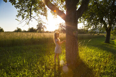 Junges Mädchen steht an einem Baum gegen die Abendsonne im Sommer - LVF07166