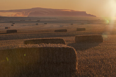 Heuhaufen im Feld bei Sonnenuntergang - CUF35865