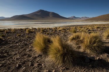 Laguna Polques, Eduardo Avaroa Andean Fauna National Reserve, Bolivia, South America - CUF35870