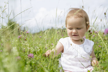 Kleines Mädchen sitzt im Feld mit Wildblumen - CUF36403