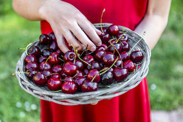 Girl holding basket of cherries, close-up - SARF03812