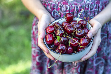 Girl's hands holding bowl of cherries, close-up - SARF03816