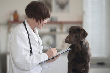 Female veterinarian making notes of examination on clipboard - CUF36701