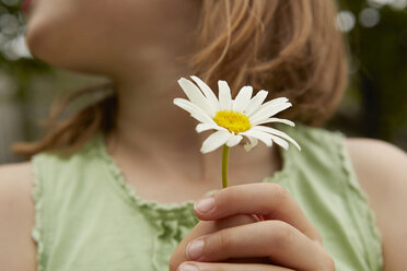 Cropped image of girl holding daisy flower - CUF36917