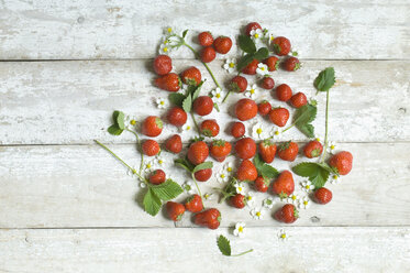 Strawberries, blossoms and leaves on white wood - ASF06202